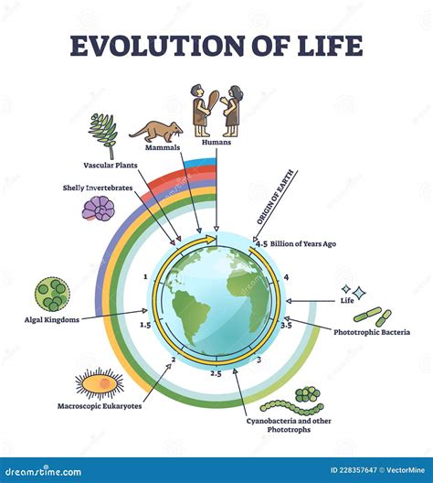 Evolution of Life with Round Timeline for Living Development Outline Diagram Stock Vector ...