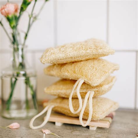 Natural Loofah Sponge (5 pack) | Natural loofah, Loofah sponge, Loofah