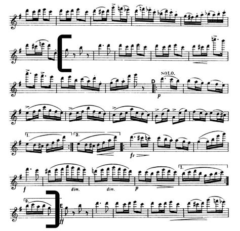 Flute: Dvorak: Symphony No. 8, Mvt. IV (8 before [D] until [E] – Orchestra Excerpts