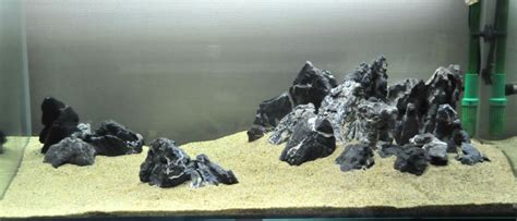 Seiryu Stone Aquascape Ideas - Aquascape Ideas