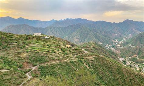 Asir National Park: An Amazing Escape in Saudi Arabia