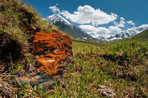 Altai rocks, Russia | Altai, Altai mountains, Russia