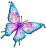 Free Butterfly Animations - Animated Butterfly Gifs - Clipart