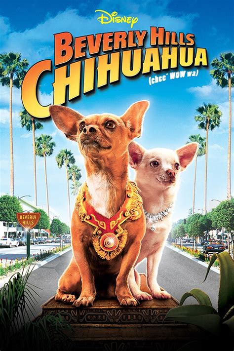 Chihuahua De Beverly Hills 1 Film Online Subtitrat In Romana - Pets Lovers