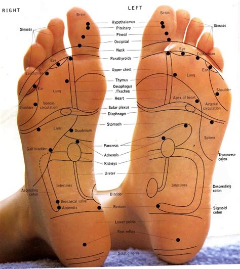 Holistyx - Massage, Aromatherapy & Reflexology in Lancaster: Reflexology