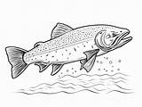 Exciting Lake Trout Coloring  Page sketch template