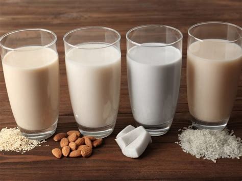 Different Types of Milk | Organic Facts