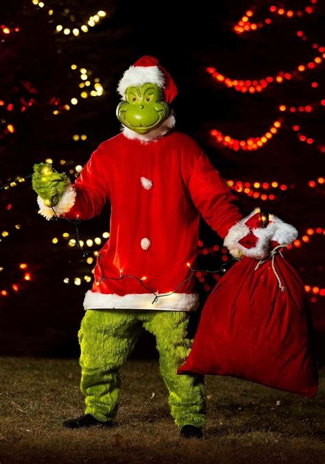 DIY Kids Grinch Costume Grinch costumes, Kids grinch costume, Grinch halloween, deguisement ...