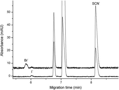 Electropherogram of a standard solution at 200 nm (upper trace) and 226 ...