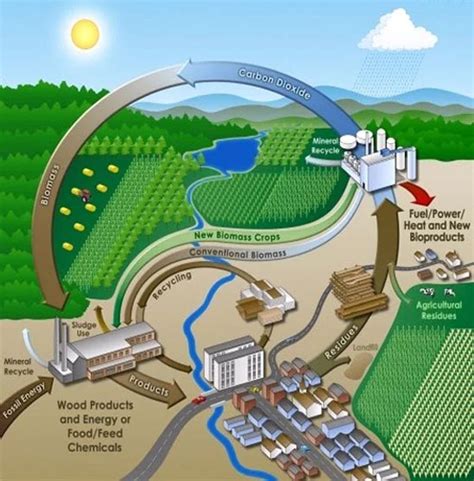 The Concept of Biorefinery | BioEnergy Consult