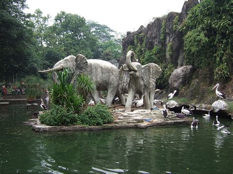 ragunan zoo jakarta - Fiix