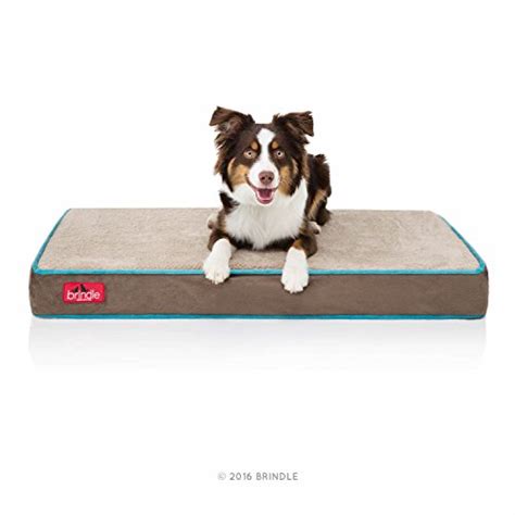 The 5 Best Waterproof Dog Beds | Durability Matters