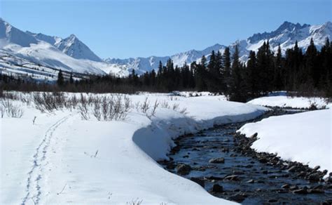 alaskatracks: Denali National Park in winter