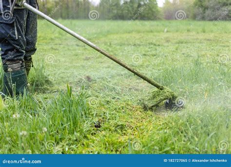 Mowing the green grass stock image. Image of care, maintenance - 182727065