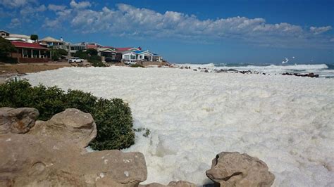 Strandfontein on the Rocks in Strandfontein (Cape West Coast) — Best ...