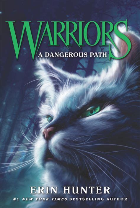 Warriors #5: A Dangerous Path (eBook) | Warrior cats books, Warrior