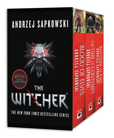 The Witcher Books in Order | T.L. Branson