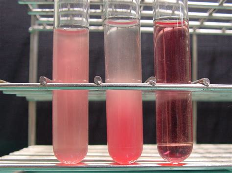 Role of ABO and RH type in Platelets Transfusion - WriteWork