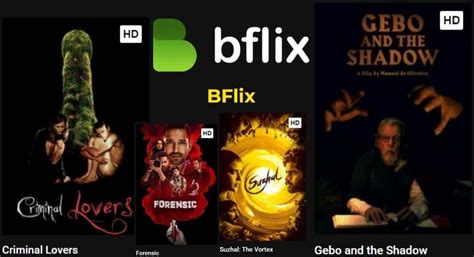 Bflix - Watch Full Movies and Series: Is It Safe and Legal?