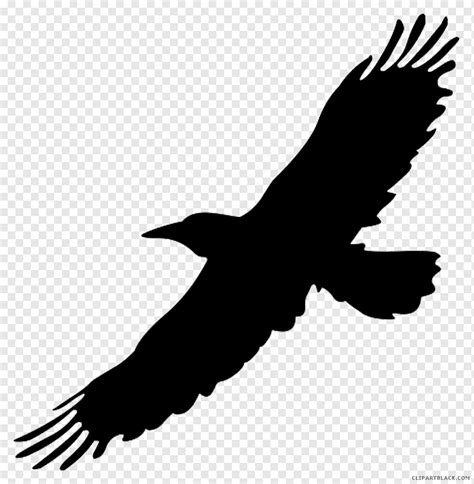 Raven Silhouette Png