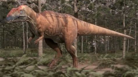 Mapusaurus | Planet Dinosaur Wiki | Fandom powered by Wikia