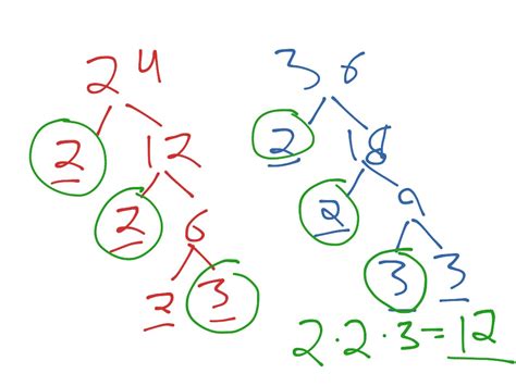 GCF Factor Tree Method | Math | ShowMe