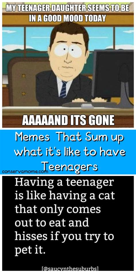 ConservaMom - Memes That Sum up what it's like to have Teenagers / Tweens