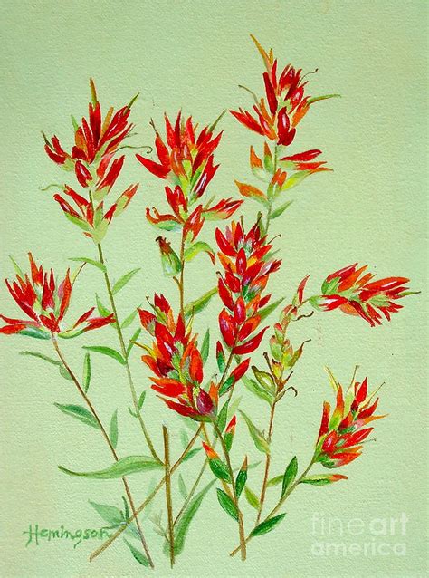 Indian Paintbrush Painting by Virginia Ann Hemingson - Pixels