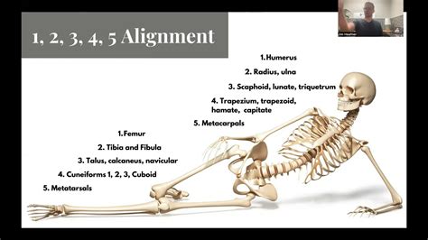 Human Movement System