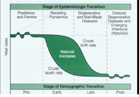 Epidemiological Transition Model Diagram | Quizlet