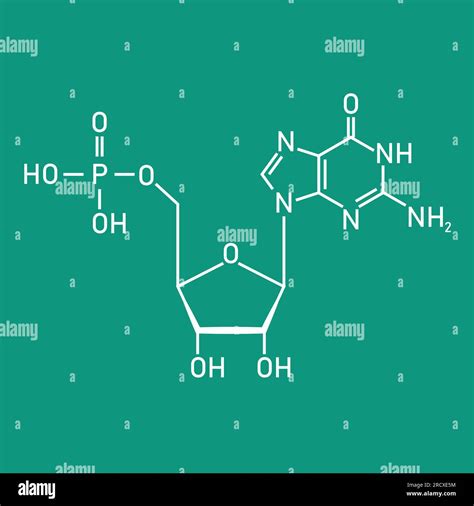 Dna Nucleotide Structure