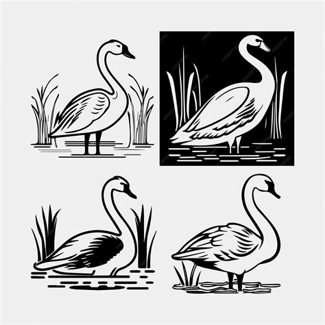 Premium Vector | Set of black silhouette swan largest flying bird swim on wate