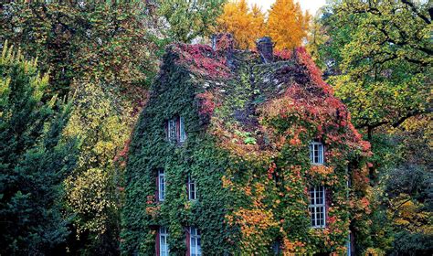 Green House in Autumn - Botanical Garden in Gießen (Germany) | Botanischer garten, Tom garten ...