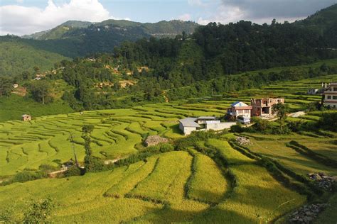 Community Forest-based Ecotourism in Nepal - Holarctic bridge