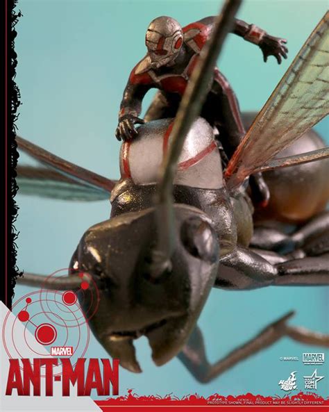 Hot Toys Ant-Man on Flying Ant Miniature Figure! - Marvel Toy News