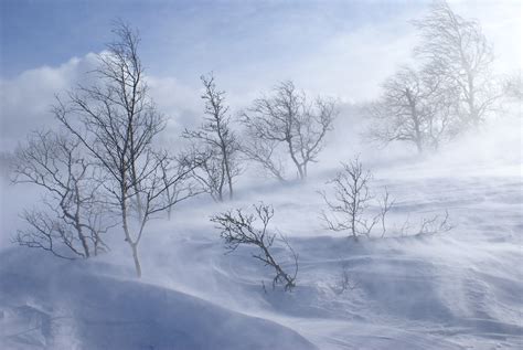 vinter, landscape, windy day, 4K, frost, Norway, day 1, winter, season ...