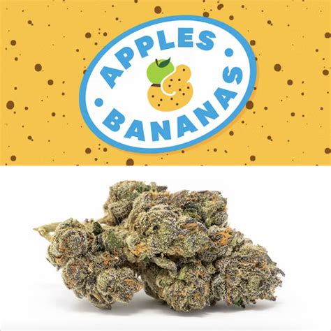 Apples & Bananas Strain By Cookies: A Potent Hybrid With Pungent Fruity Terps