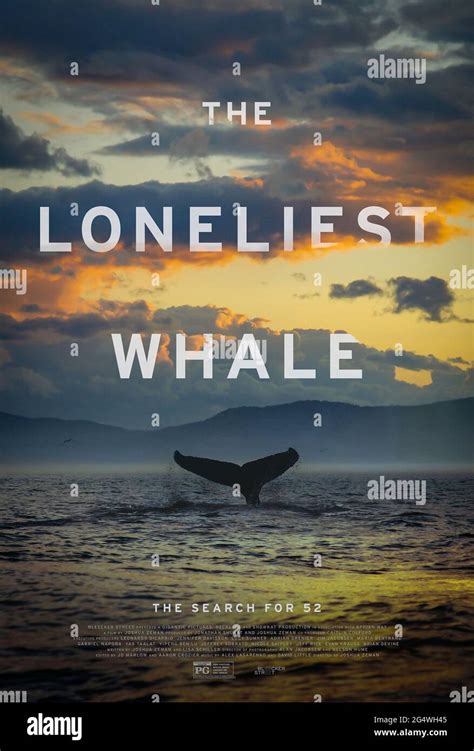 Loneliest whale hi-res stock photography and images - Alamy