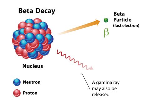 Why Is The Term "Half-Life" Used To Measure Radioactivity? » ScienceABC