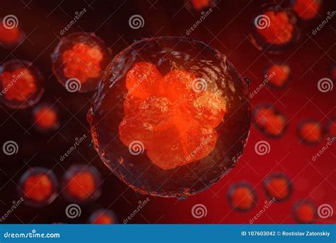 3D Illustration Early Stage Embryo, Stem Cell Research, Morula. Human or Animal Cells Stock ...