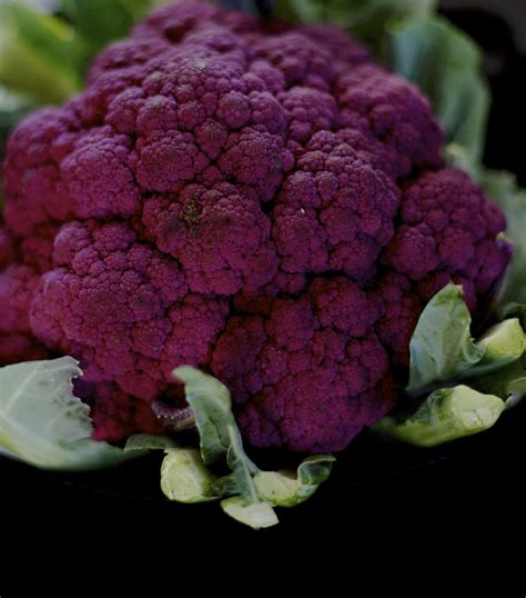 purple cauliflower nutrition | The Domestic Dietitian