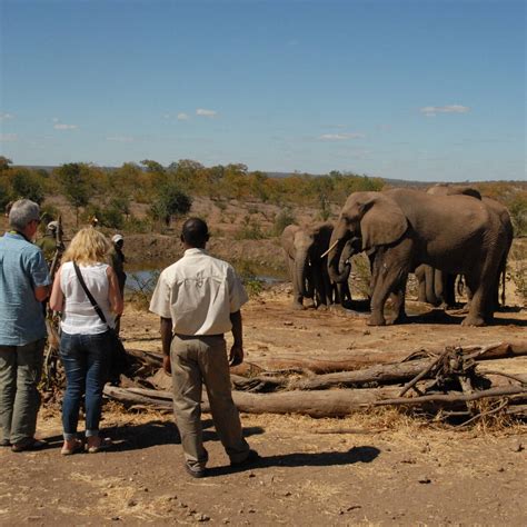 Safaris in Zimbabwe for 2020-2021 | Expert Africa