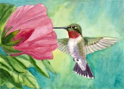 Zeh Original Art Blog Watercolor and Oil Paintings: Ruby Throated Hummingbird & Hibiscus