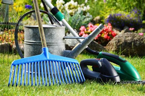 Most essential gardening tools and equipment for beginners