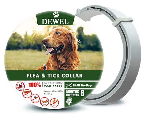 The 3 Best Flea Collars For Dogs