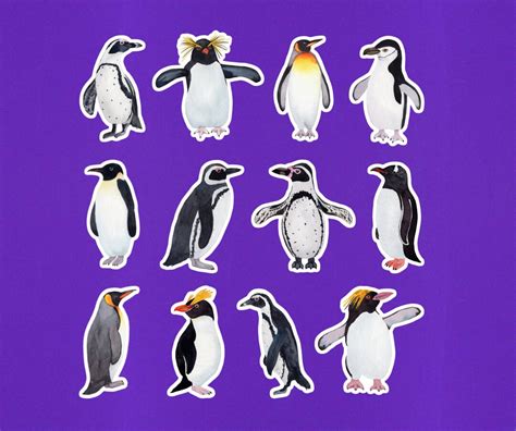 Set of 12 Watercolor Penguin Stickers Approx 2 on Longest Side Penguin ...