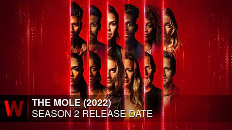 The Mole (2022) Season 2 Storyline, And Everything You Need To Know!