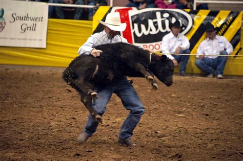 Rodeo cowboy a thrilling but dangerous, expensive career | News, Sports ...