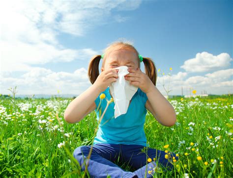 Children Have Fewer Allergies When Families Do Dishes by Hand | Live ...