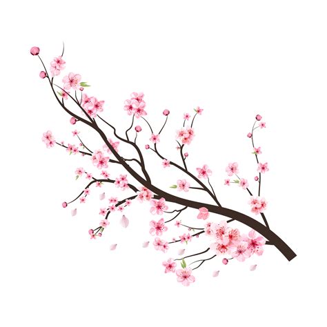 rama de flor de cerezo con flor de sakura rosa floreciendo. vector de ...